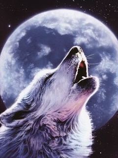 howling w