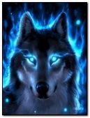 Blue eyes wolf