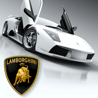 White Lamborghini