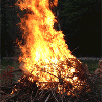 Coastal And Burning Fire