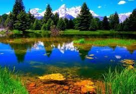 images 16