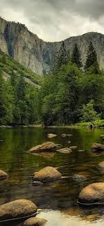 images 8
