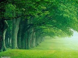 images 6