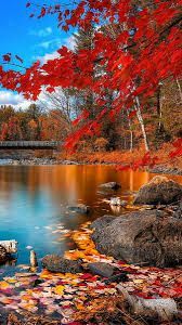 images 10