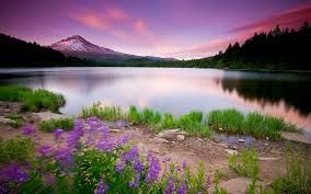 images 14