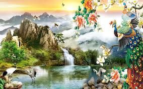 images