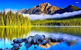 images 12