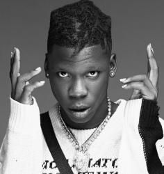 Ogo seyi