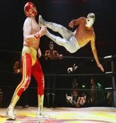 LuchaLibre DesafioTotalSPA s40v5