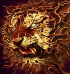 Fire lion