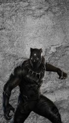 Black panther