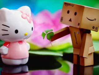 Box Boy Loves Kitty