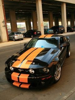 mustang n