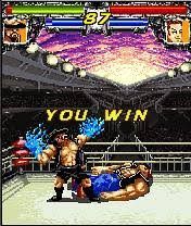 WORLD WRESTLING DEMOLITION