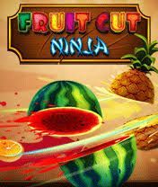 FRUIT CUT NINJA