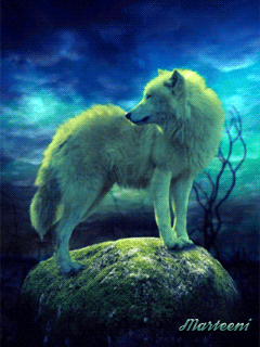 Lonely wofl gif