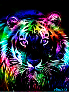 Colourful tiger