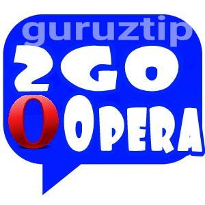 Opera Mini + 2go V3.