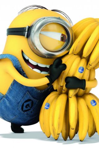 coolminion c9lop99413150519