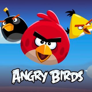 angery bird