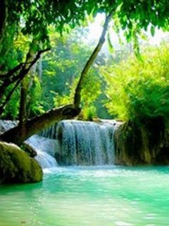 Waterfal