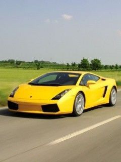 gallardo