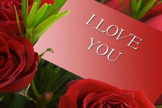 Love Gree