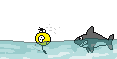 Shark emoticon