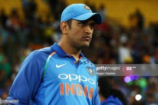 Cricket fever dhoni