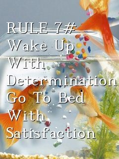 wp RULE 7 Wake Up With Determination Go To  1749717127