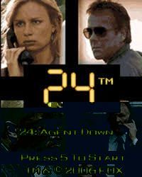 24 Agent Down