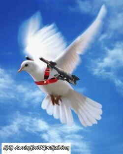 Spirit of