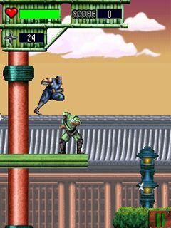Senshi: The Ninja Wa