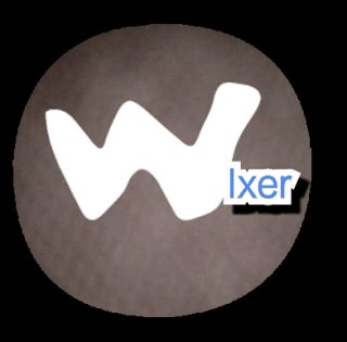 Wixer log