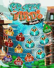 Crazy birds match