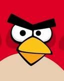 Love angry bird