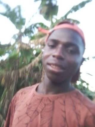 IMG 20241208 181459