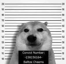 Pufi