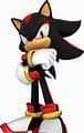 sonic shadow