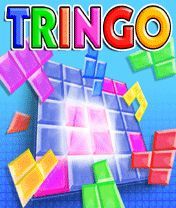Tringo 2417