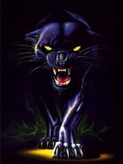 by flaga