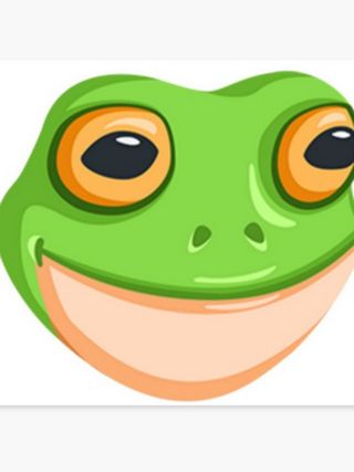 Frog Face Picture(messenger)
