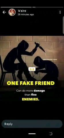 One fake friend