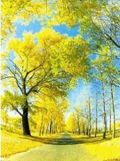 nature0007 eWQUdOkc