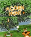 Acorn Hunt jar