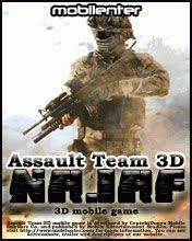 assault team 3d naja