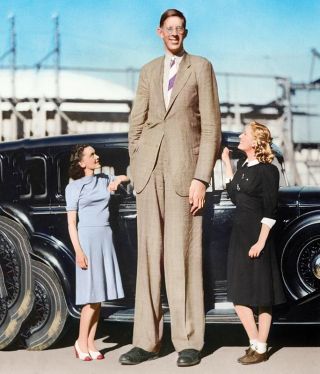 robert wadlow