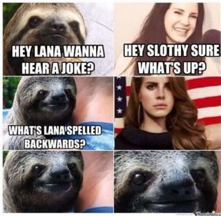Meme