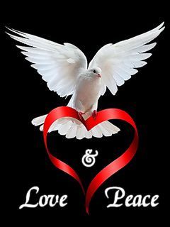 love and 