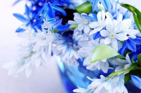 blue